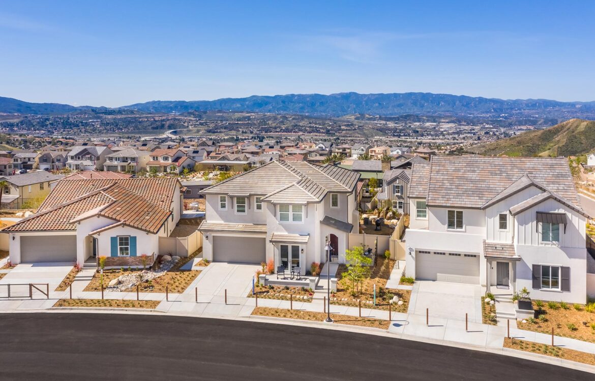 Skyline Homes – Luna-Street-Scene